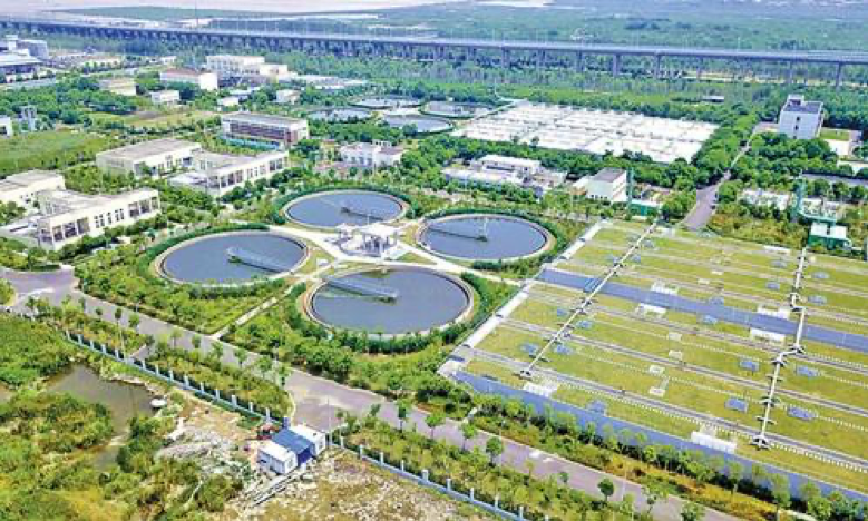 宝安龙华污水处理厂生活污水生化快速启动